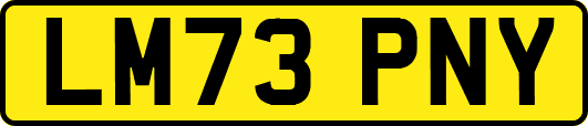 LM73PNY