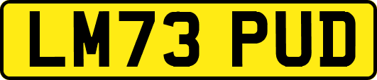 LM73PUD