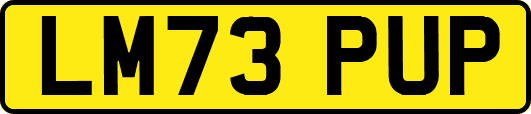 LM73PUP