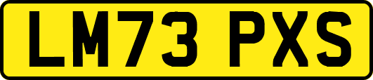 LM73PXS