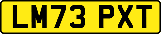 LM73PXT