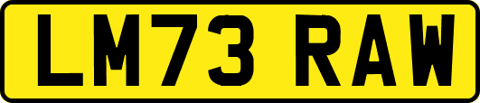 LM73RAW