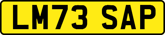 LM73SAP