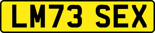 LM73SEX