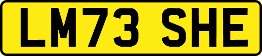 LM73SHE