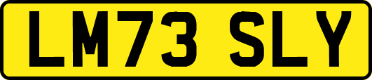 LM73SLY