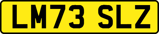 LM73SLZ