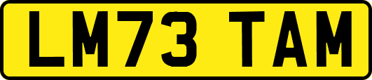 LM73TAM