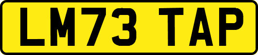 LM73TAP