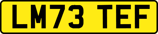 LM73TEF