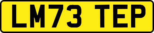 LM73TEP