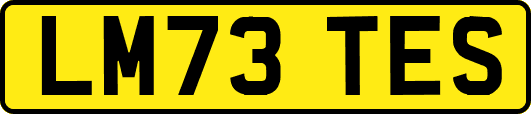LM73TES