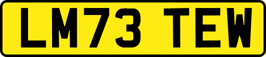 LM73TEW