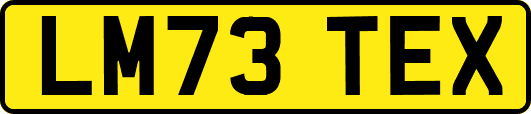 LM73TEX