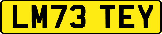 LM73TEY