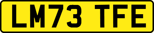 LM73TFE