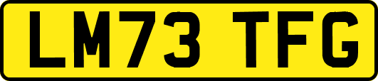LM73TFG