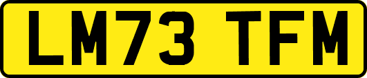 LM73TFM