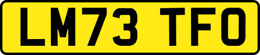 LM73TFO