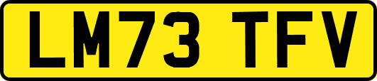 LM73TFV