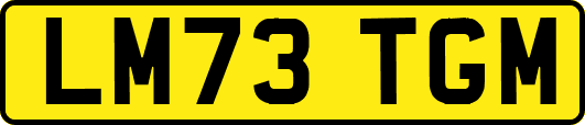 LM73TGM