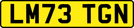 LM73TGN