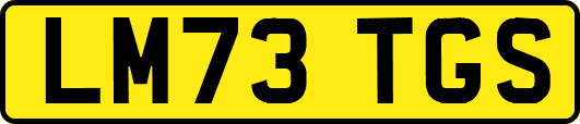 LM73TGS