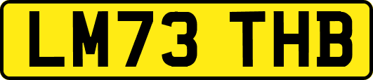 LM73THB