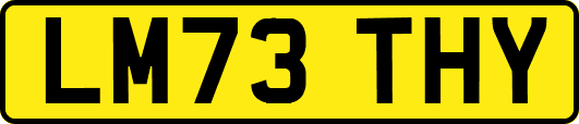 LM73THY