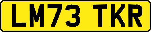 LM73TKR