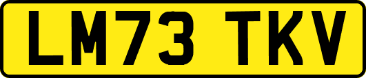 LM73TKV