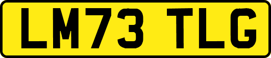 LM73TLG