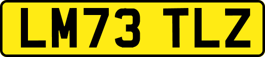 LM73TLZ