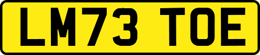 LM73TOE
