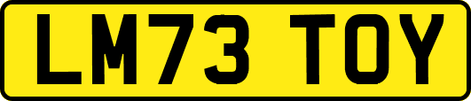 LM73TOY