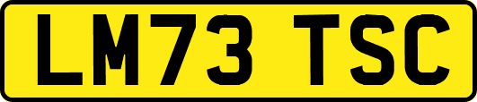 LM73TSC