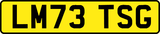 LM73TSG