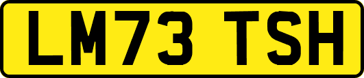 LM73TSH