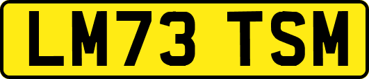 LM73TSM