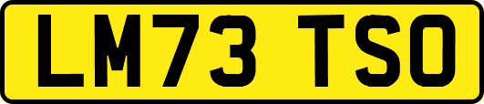 LM73TSO