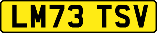 LM73TSV