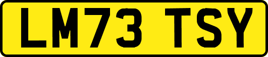 LM73TSY