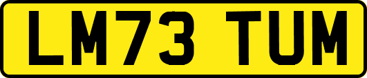 LM73TUM