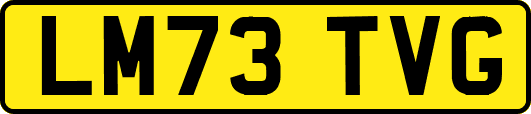 LM73TVG