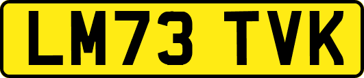 LM73TVK