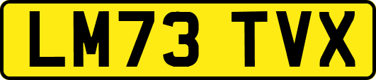 LM73TVX