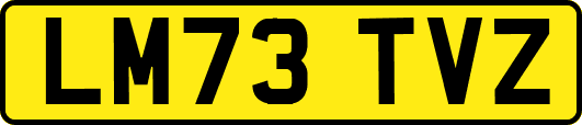 LM73TVZ