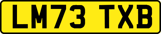 LM73TXB