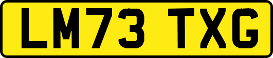 LM73TXG