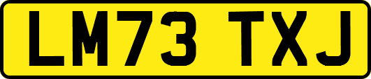 LM73TXJ